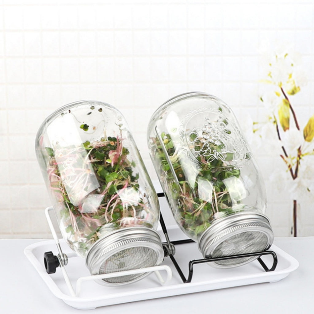 Mason Jar Home Sprouting Jar Stainless Steel Stand