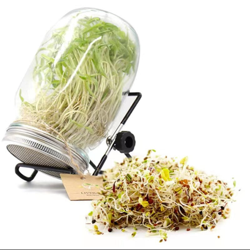 Mason Jar Home Sprouting Jar Stainless Steel Stand